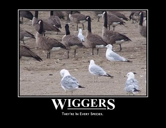 Wigger